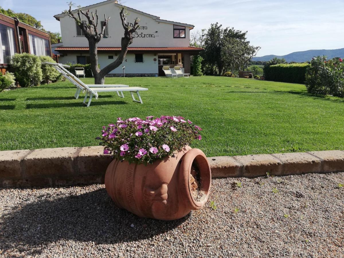 Agriturismo Diaccia Botrona Кастільйоне-делла-Пеская Екстер'єр фото