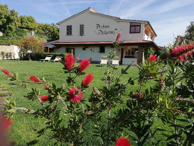 Agriturismo Diaccia Botrona Кастільйоне-делла-Пеская Екстер'єр фото