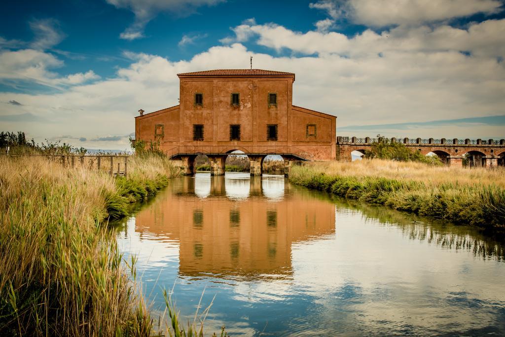 Agriturismo Diaccia Botrona Кастільйоне-делла-Пеская Екстер'єр фото