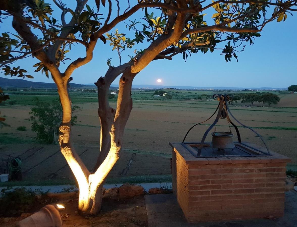 Agriturismo Diaccia Botrona Кастільйоне-делла-Пеская Екстер'єр фото