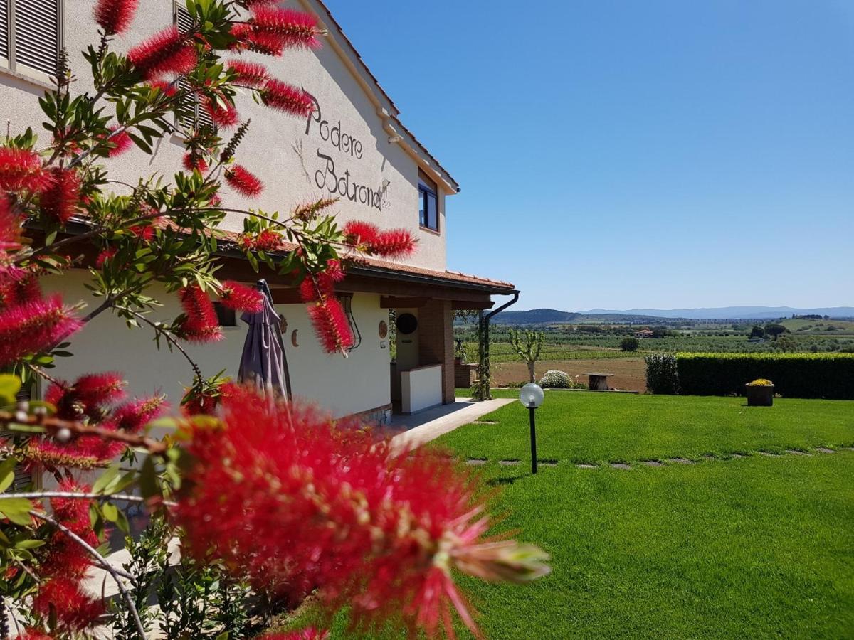 Agriturismo Diaccia Botrona Кастільйоне-делла-Пеская Екстер'єр фото