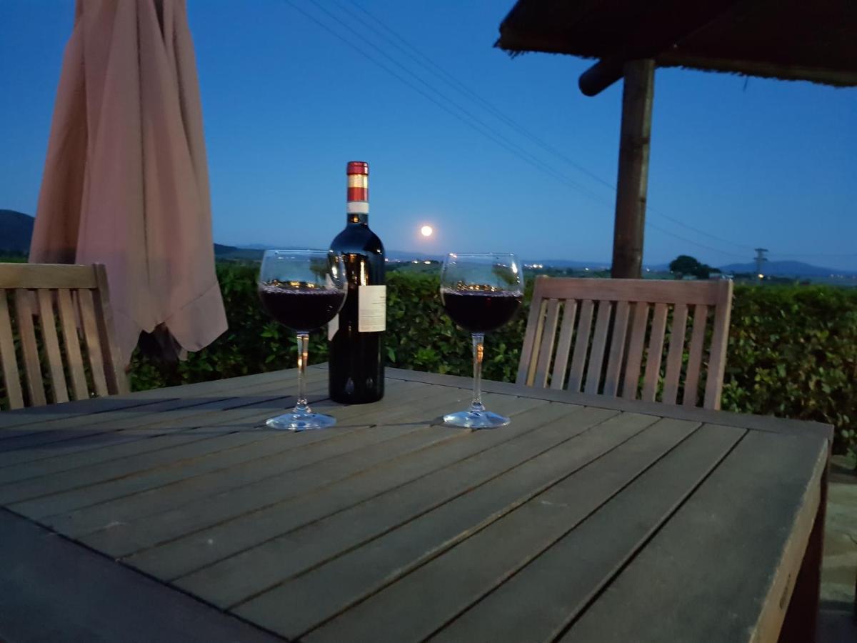 Agriturismo Diaccia Botrona Кастільйоне-делла-Пеская Екстер'єр фото